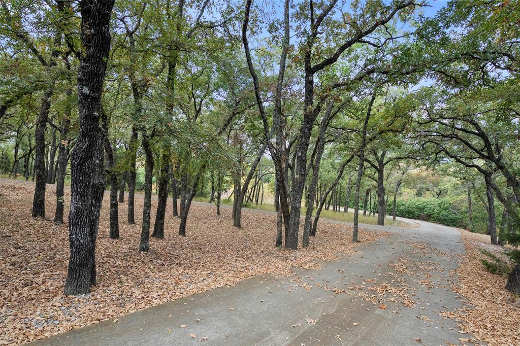217 Williams Road Fort Worth, TX 76120 - Photo 31 of 36 A winding, wooded drive leads the way to this remarkable home