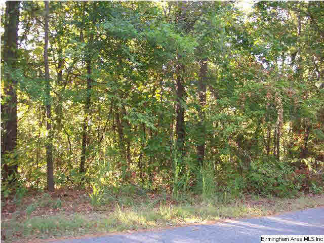 0 Haven Circle, Unit 40 Riverside, AL 35135 - Photo 1 of 3