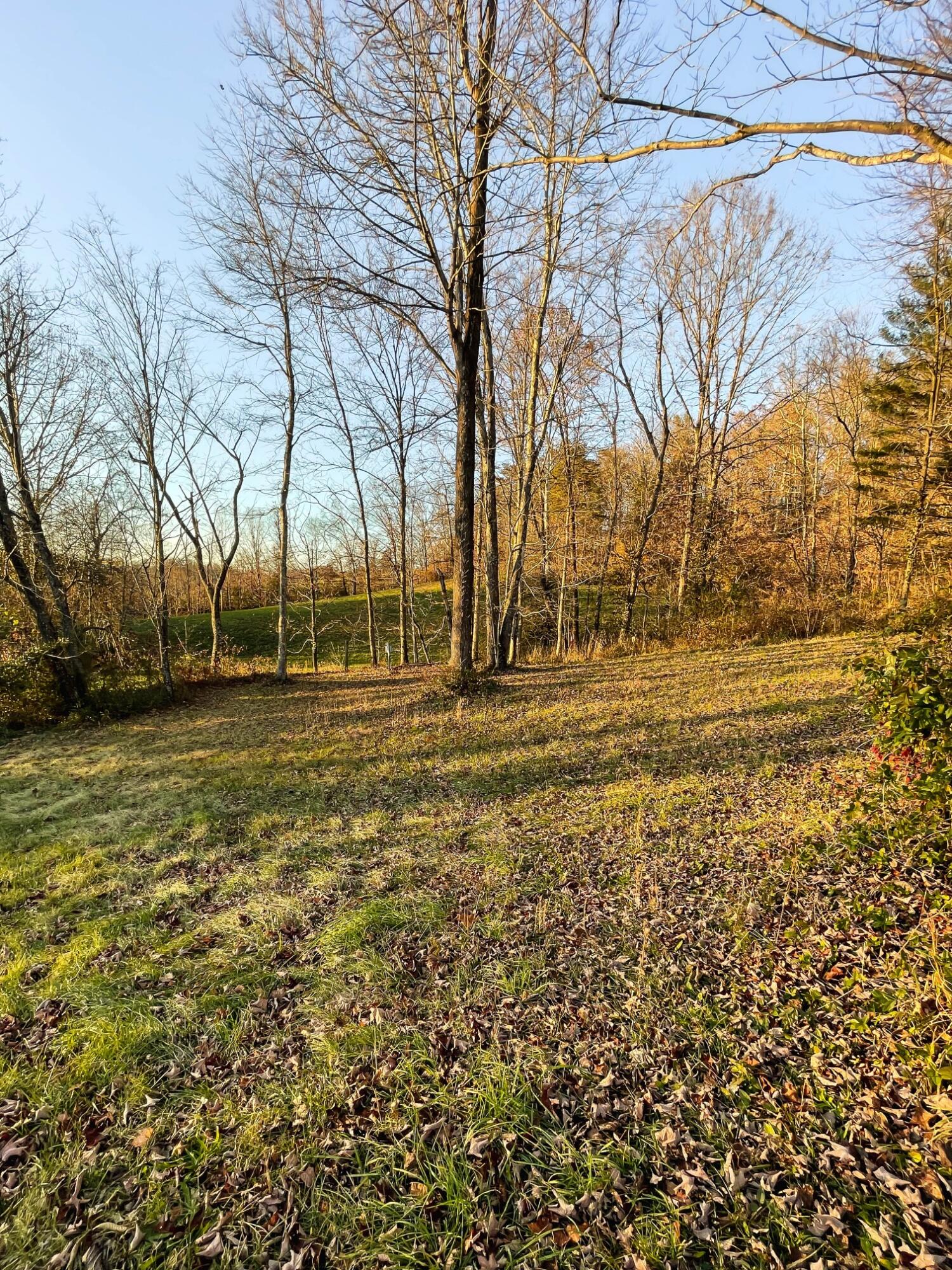 75 Lizard Ridge Road Hazel Green, KY 41332 - Photo 8 of 40 KRPbw-1307