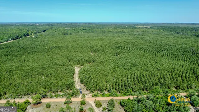 $243,823 | 0 Montgomery Road, Mauk, GA 31058