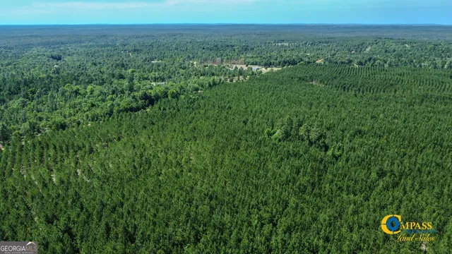 $243,823 | 0 Montgomery Road, Mauk, GA 31058