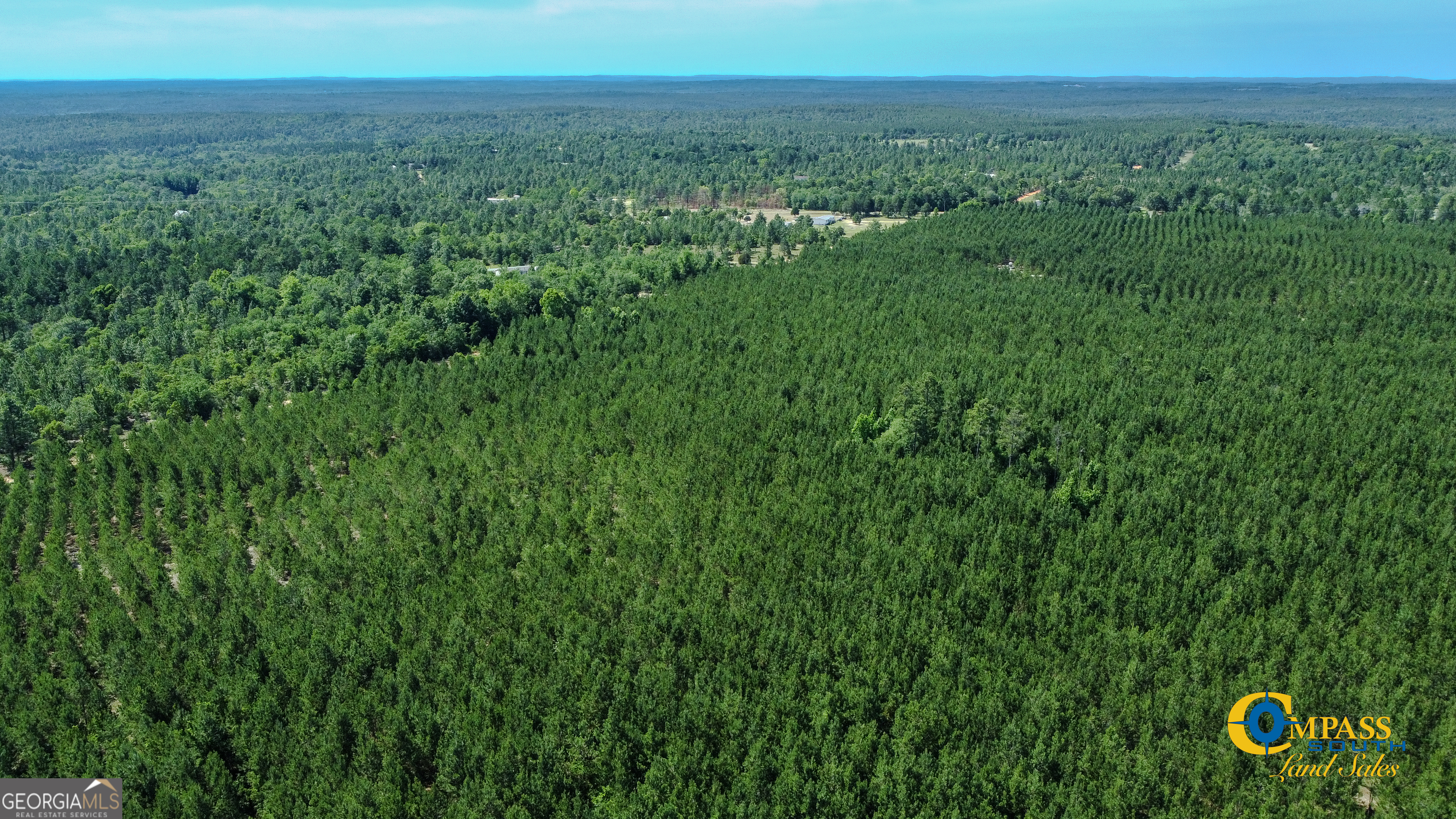 0 Montgomery Road Mauk, GA 31058 - Photo 2 of 8