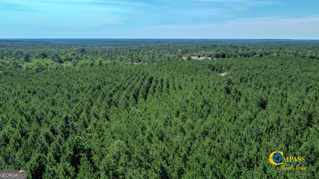 $243,823 | 0 Montgomery Road, Mauk, GA 31058