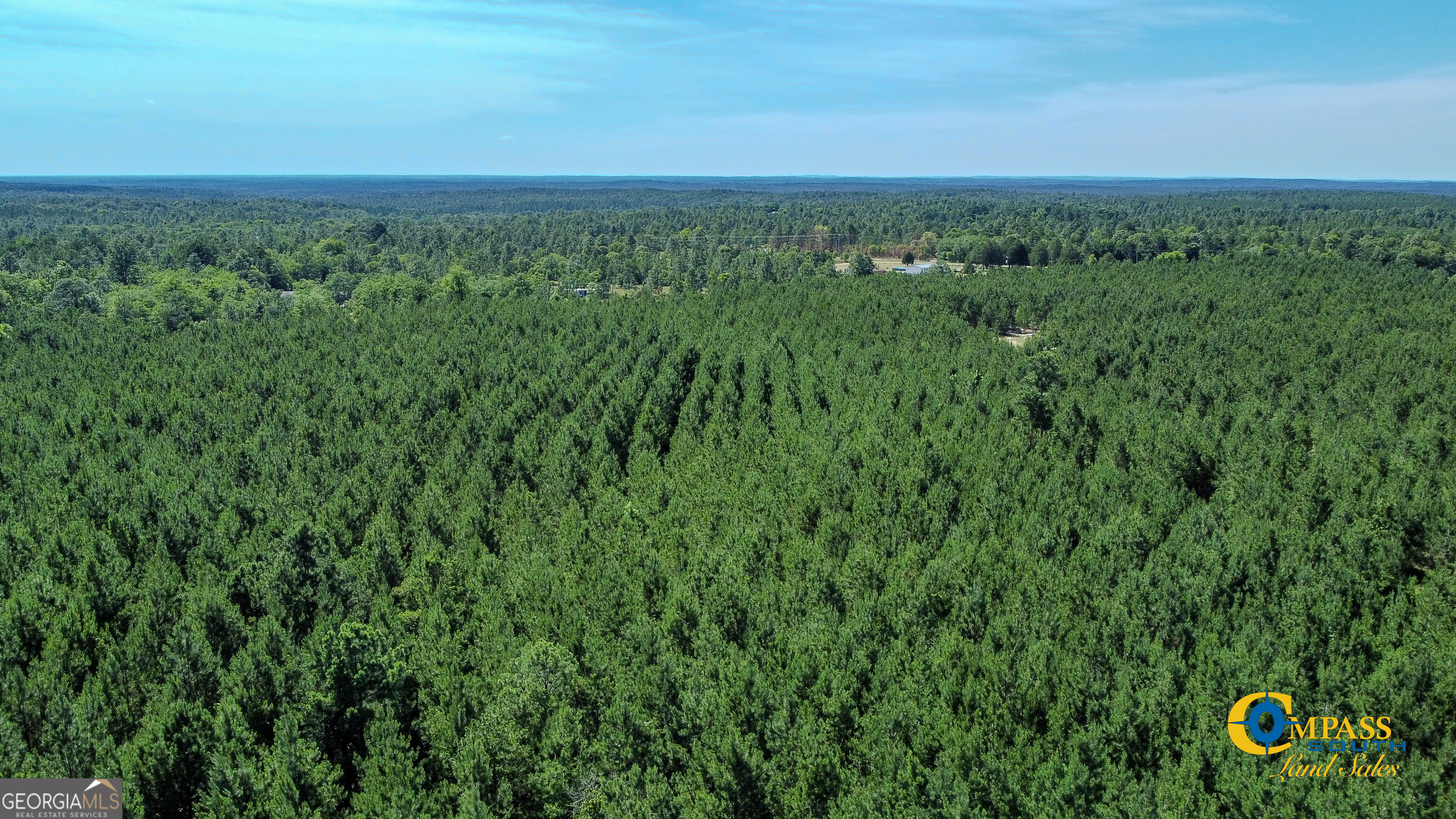 0 Montgomery Road Mauk, GA 31058 - Photo 3 of 8