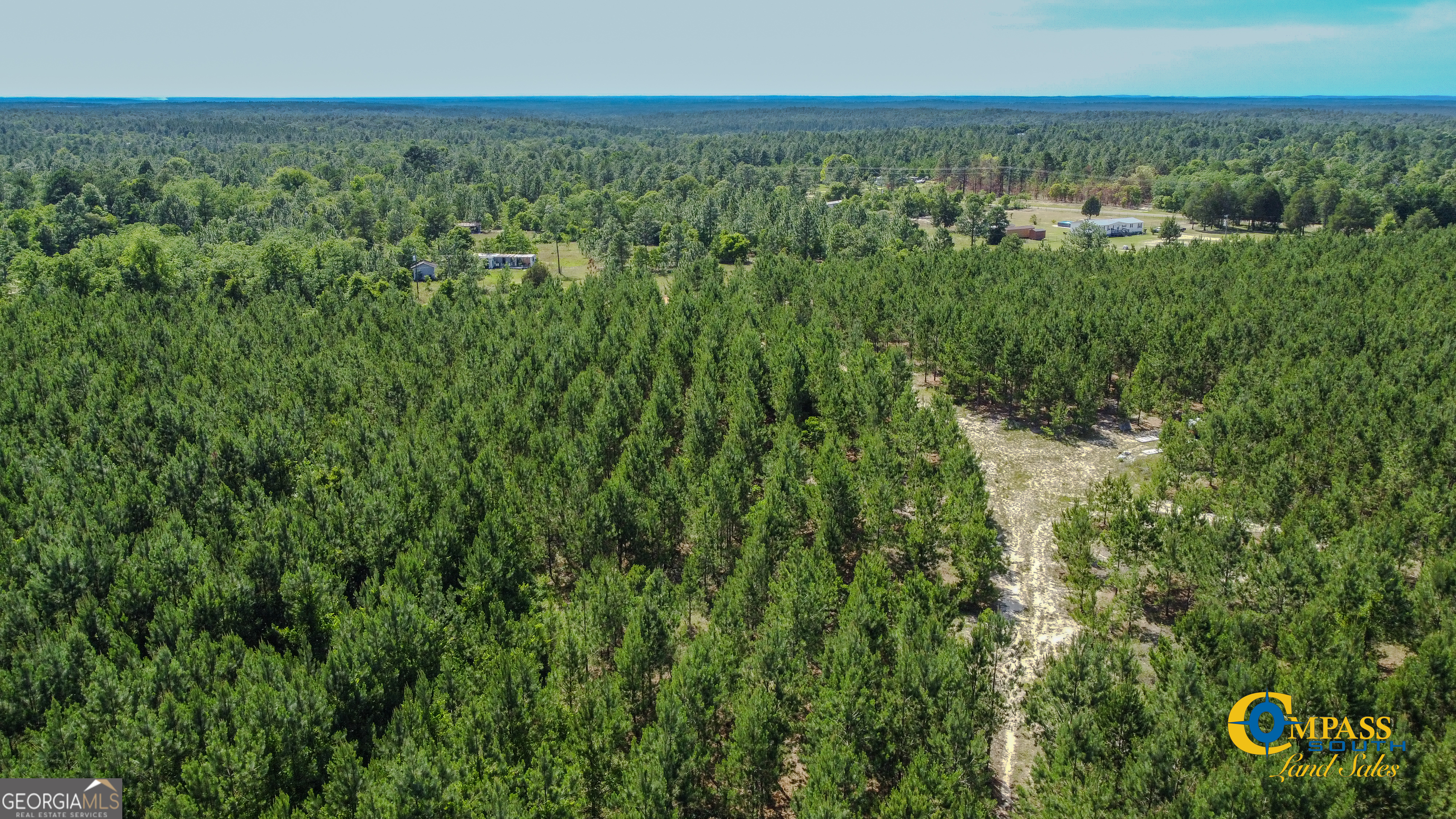 0 Montgomery Road Mauk, GA 31058 - Photo 4 of 8