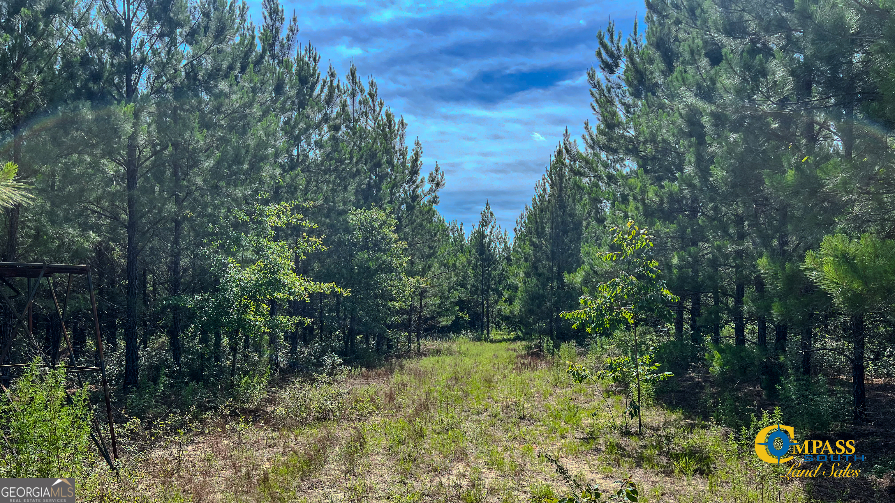 0 Montgomery Road Mauk, GA 31058 - Photo 5 of 8