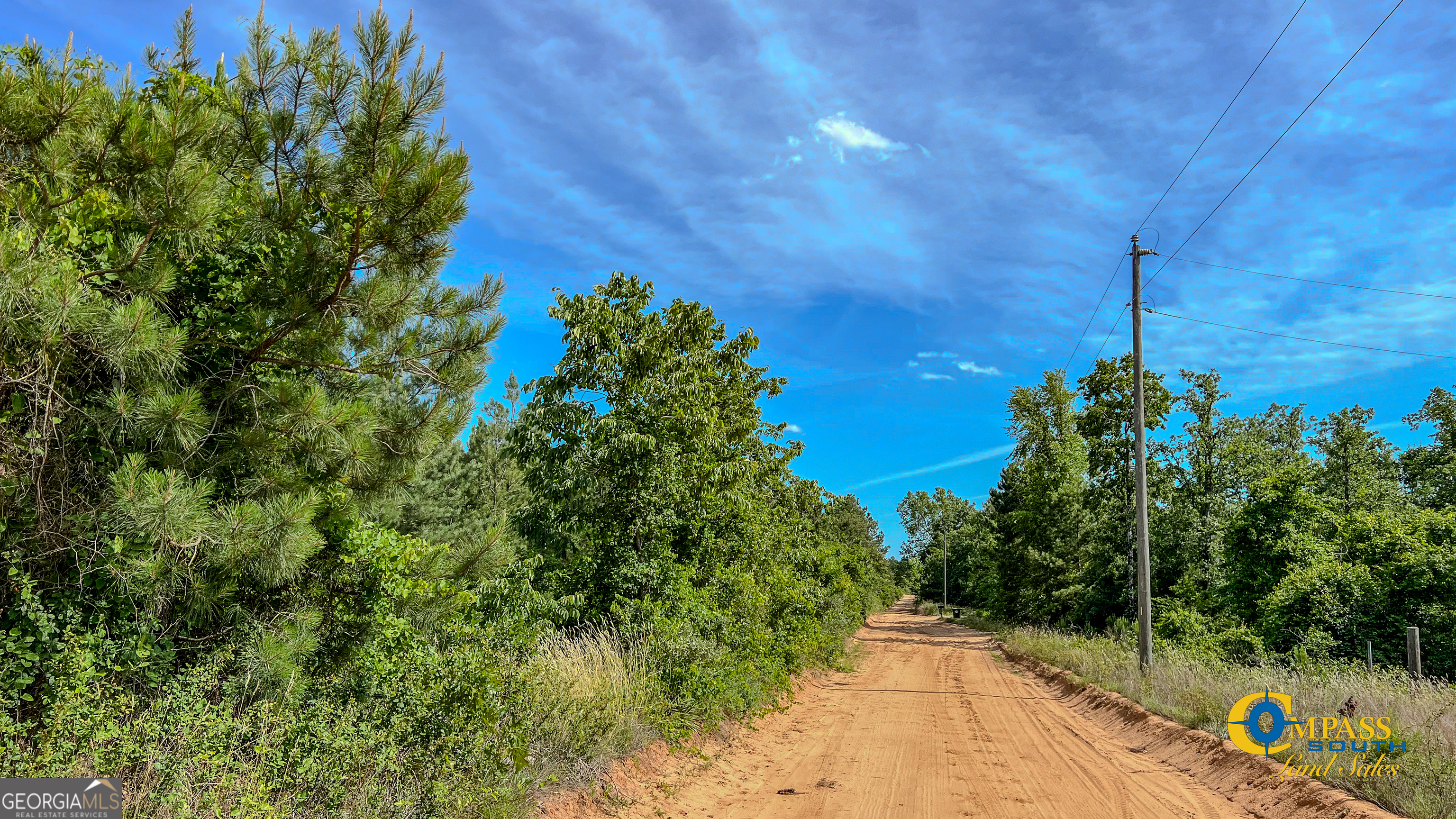 0 Montgomery Road Mauk, GA 31058 - Photo 7 of 8