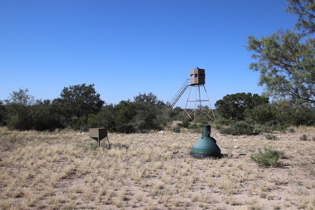 3618 Sd 52100 Rocksprings, TX 78880 - Photo 78 of 88