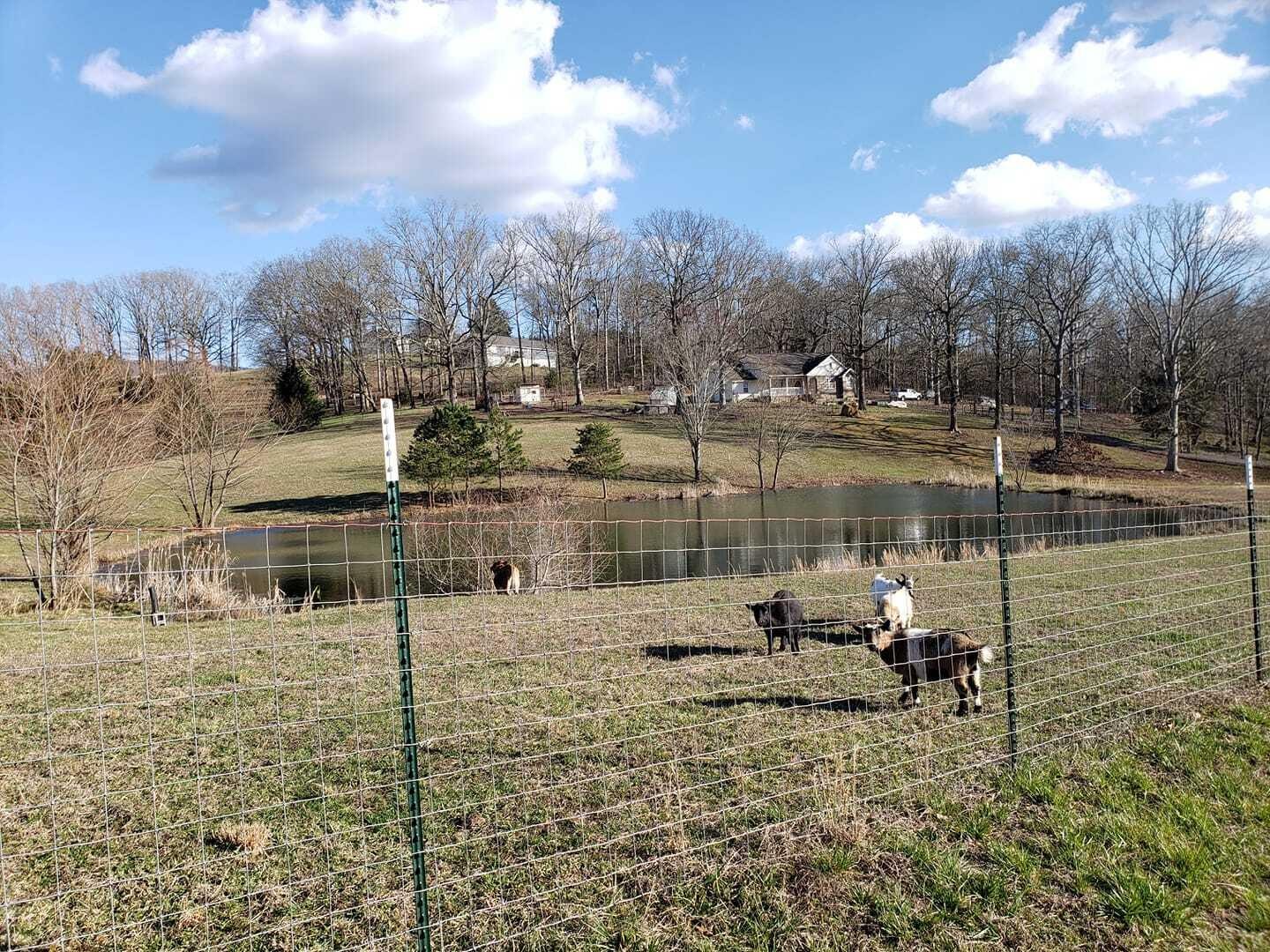 1814 Hudlow Loop Road Dunlap, TN 37327 - Photo 34 of 59 Gallery Image 34