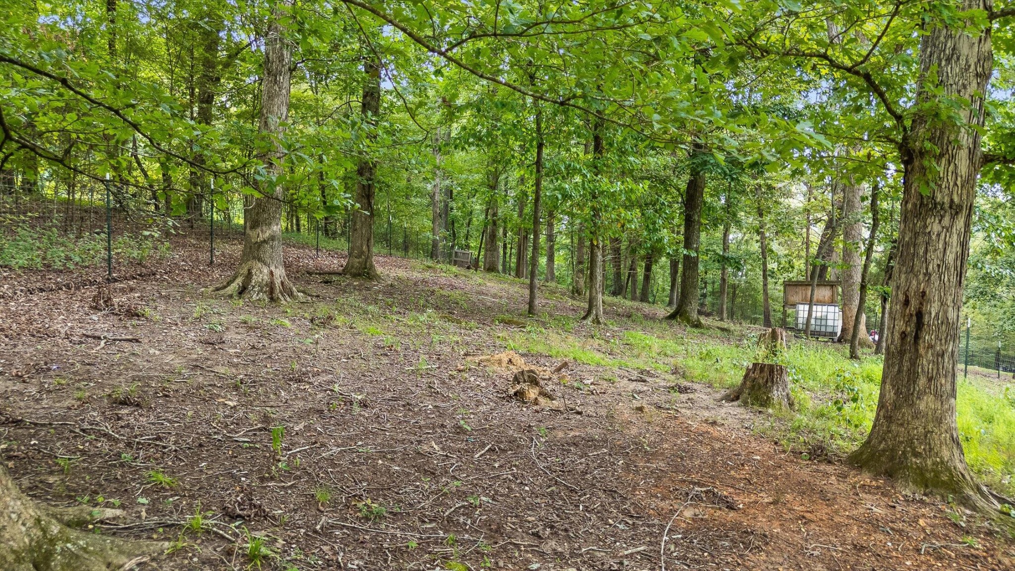 1814 Hudlow Loop Road Dunlap, TN 37327 - Photo 53 of 59 Gallery Image 53