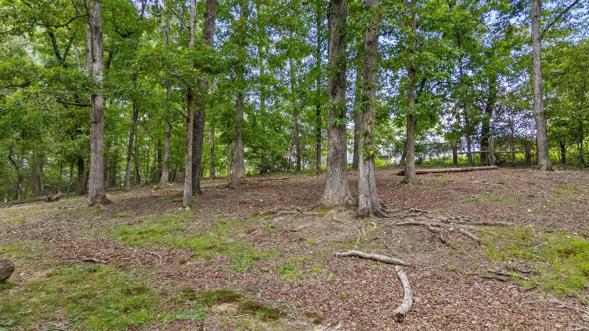 1814 Hudlow Loop Road Dunlap, TN 37327 - Photo 55 of 59 Gallery Image 55