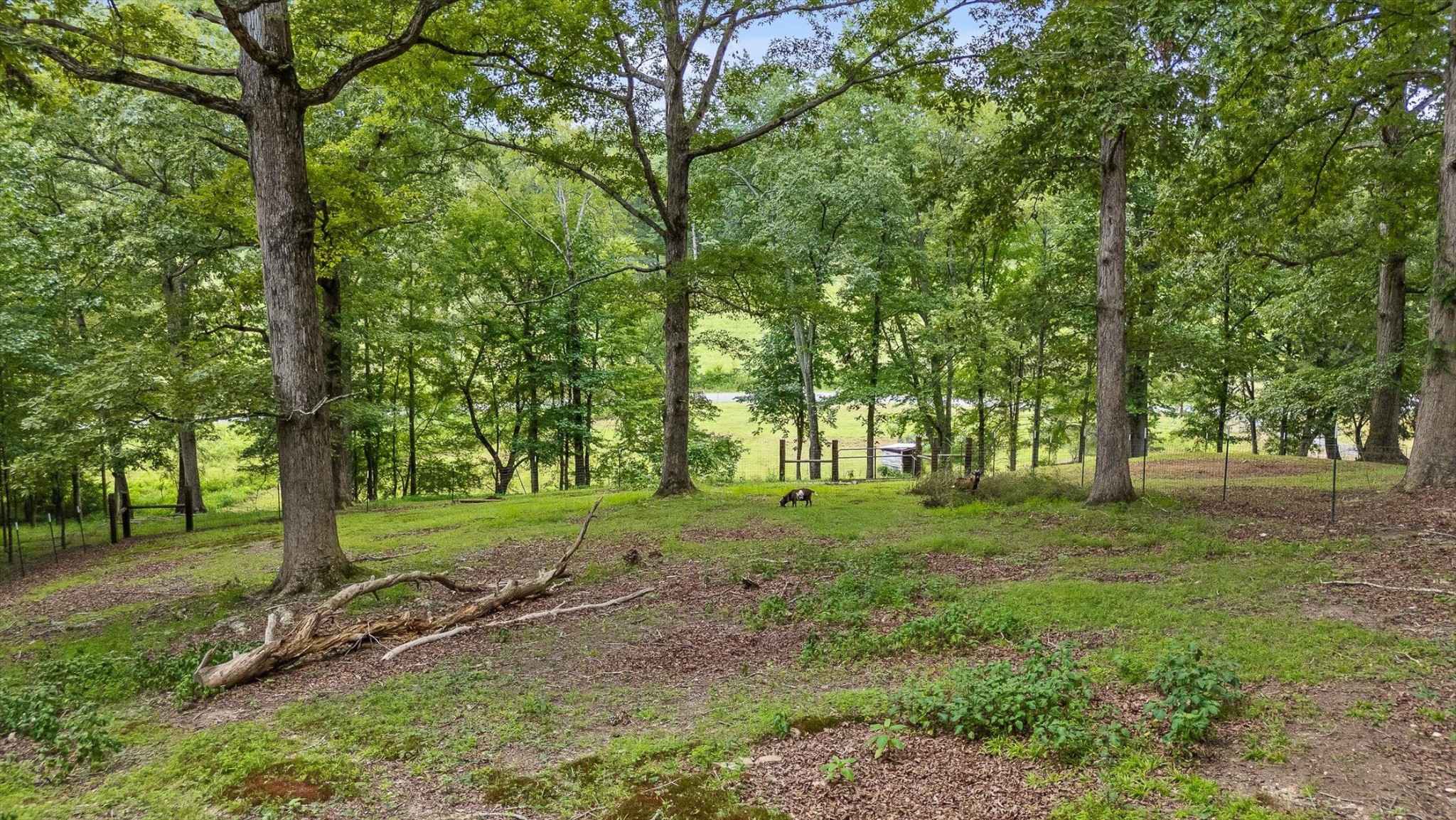 1814 Hudlow Loop Road Dunlap, TN 37327 - Photo 56 of 59 Gallery Image 56