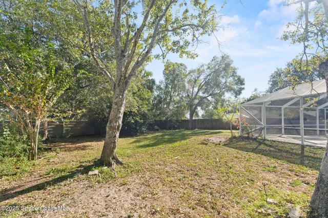 a view of a yard with large tree