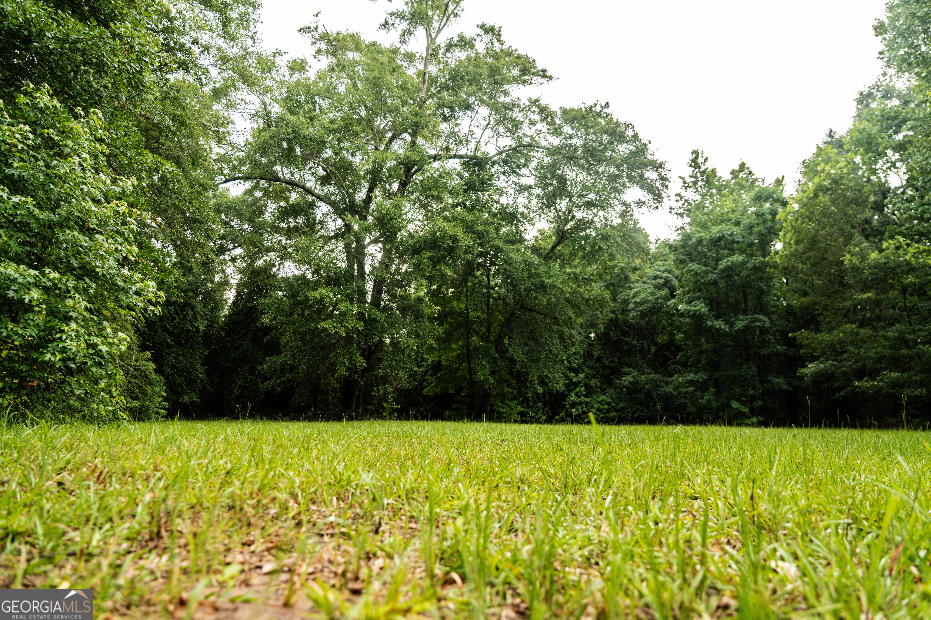 990 Highway 49 Americus, GA 31719 - Photo 71 of 121