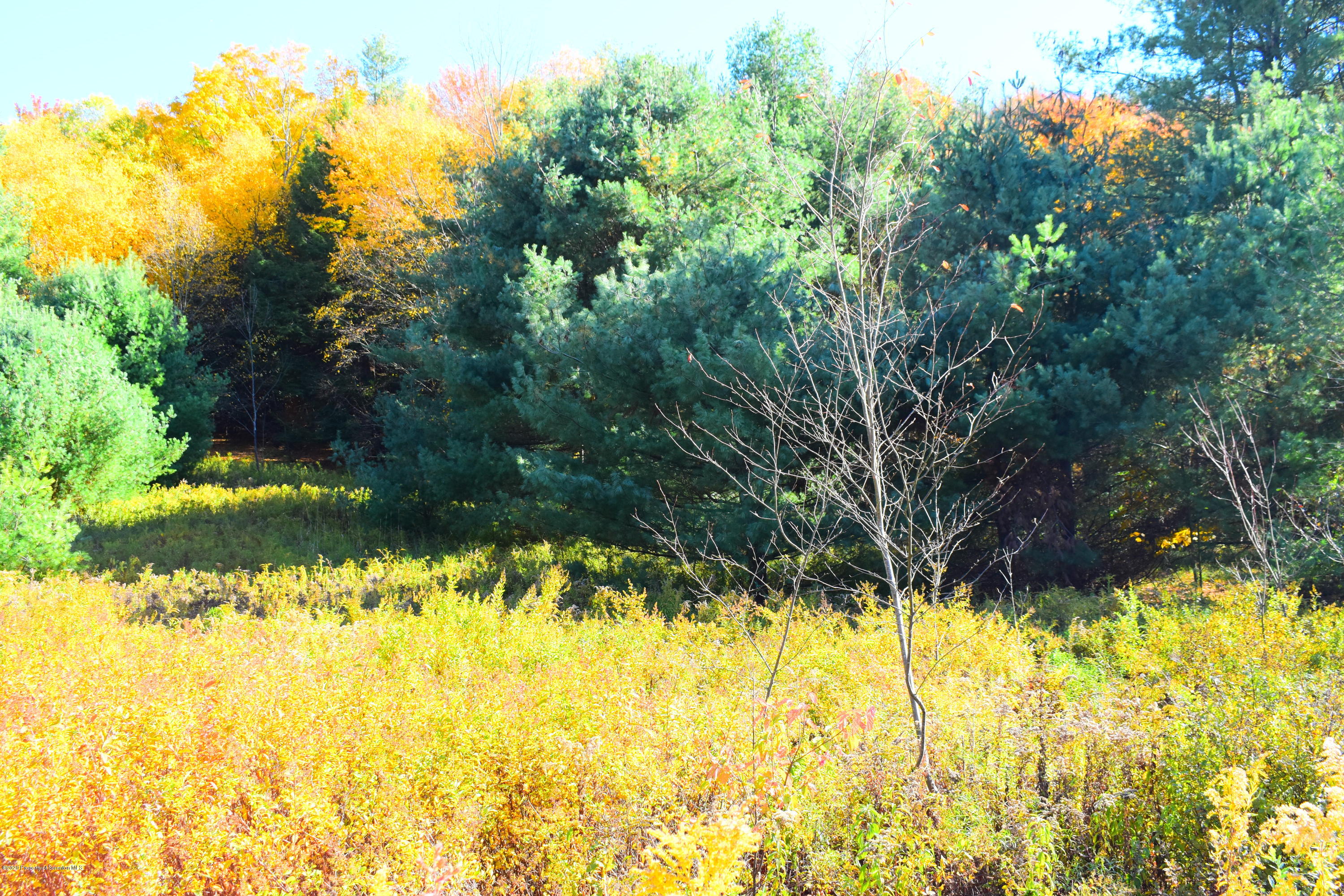Rice Road New Milford, PA 18834 - Photo 3 of 12 Fields/woods