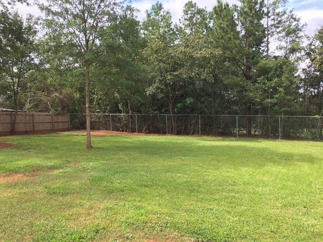 513 Music Row, Unit 9 Forsyth, GA 31029 - Photo 18 of 19 a view of a back yard