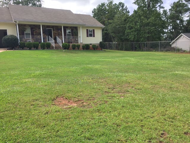513 Music Row, Unit 9 Forsyth, GA 31029 - Photo 19 of 19 a backyard of a house with lots of green space