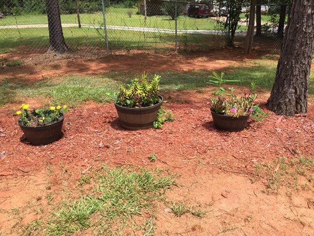 513 Music Row, Unit 9 Forsyth, GA 31029 - Photo 10 of 19 a view of a backyard with plants and garden