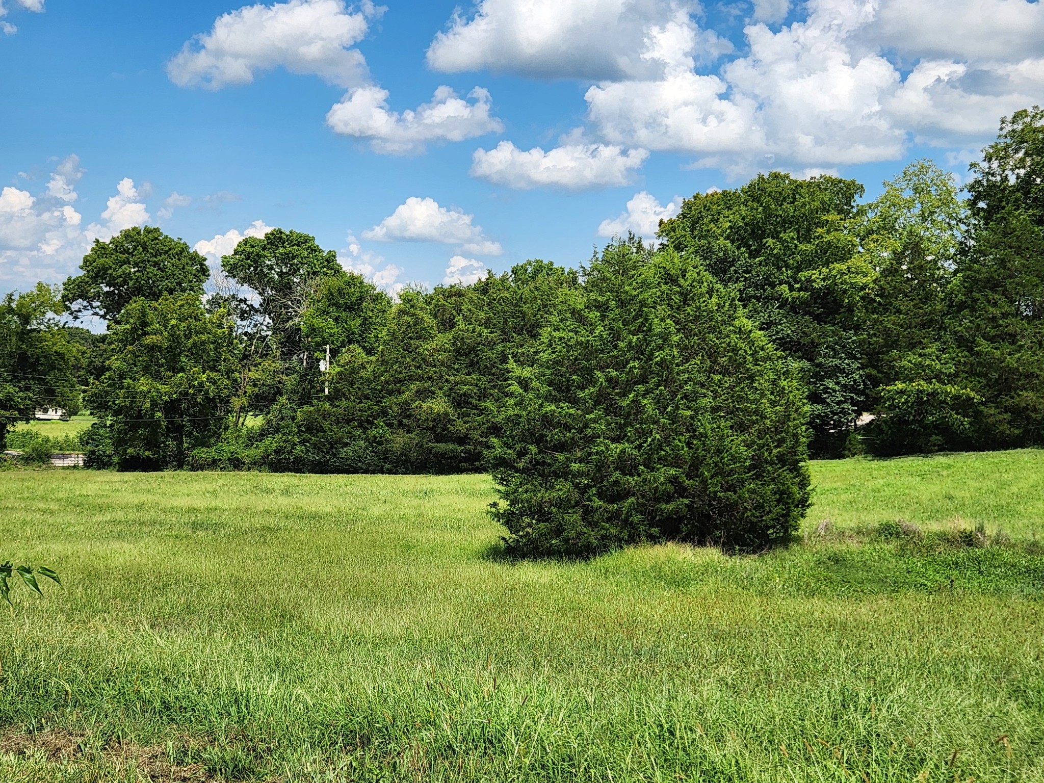 1963 Hidden Hills Road Pulaski, TN 38478 - Photo 14 of 29 Gallery Image 14