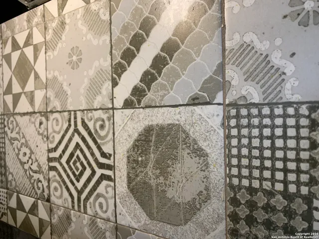 $800 | 773 Fulton Avenue, Unit 2, San Antonio, TX 78212