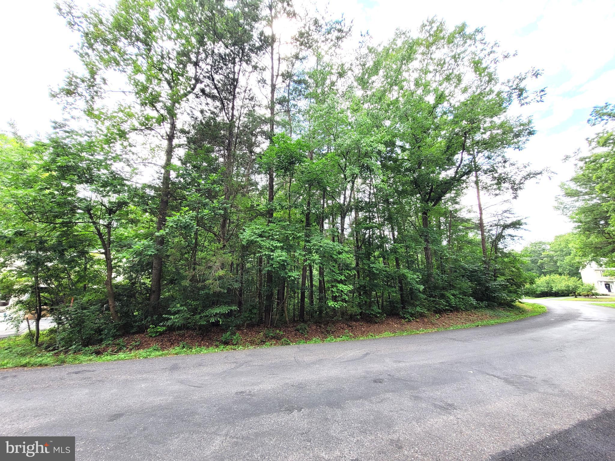 400 Battlefield Rd - LAKE OF THE WOODS