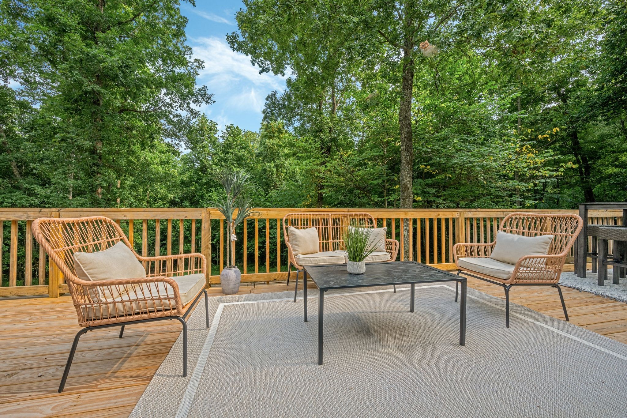 840 Promise Land Road Charlotte, TN 37036 - Photo 30 of 38 LARGE OUTDOOR ENTERTAINMENT AREA overlooks the Back Yard 5.91 Acres+/-