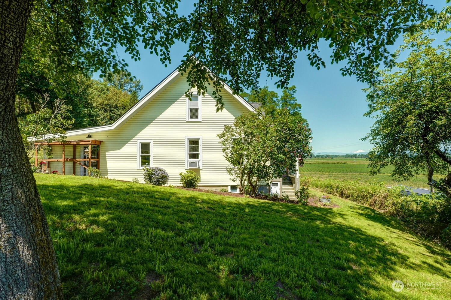 9120 Lowell Larimer Road Everett, WA 98208 - Photo 7 of 40 a view of a backyard with plants and large tree