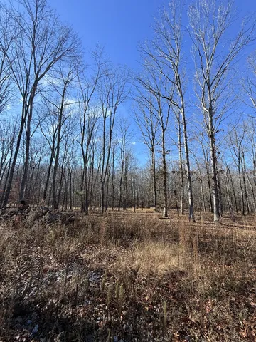 a view of outdoor space with lots of trees