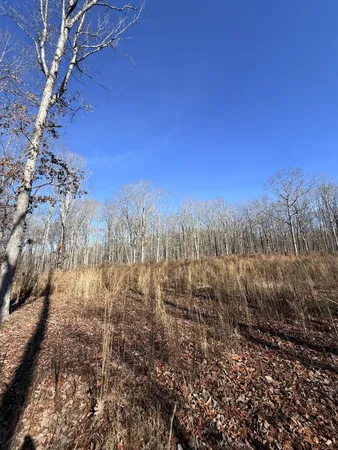 a view of a yard with wooden fence