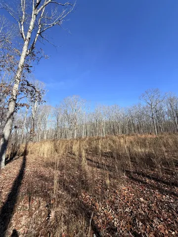 a view of a yard with wooden fence