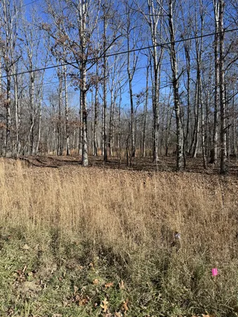 a view of house with yard