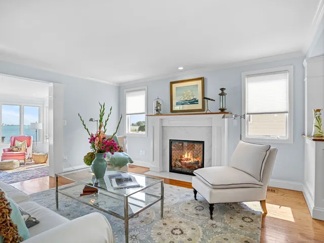a living room with furniture a potted plant and a fireplace