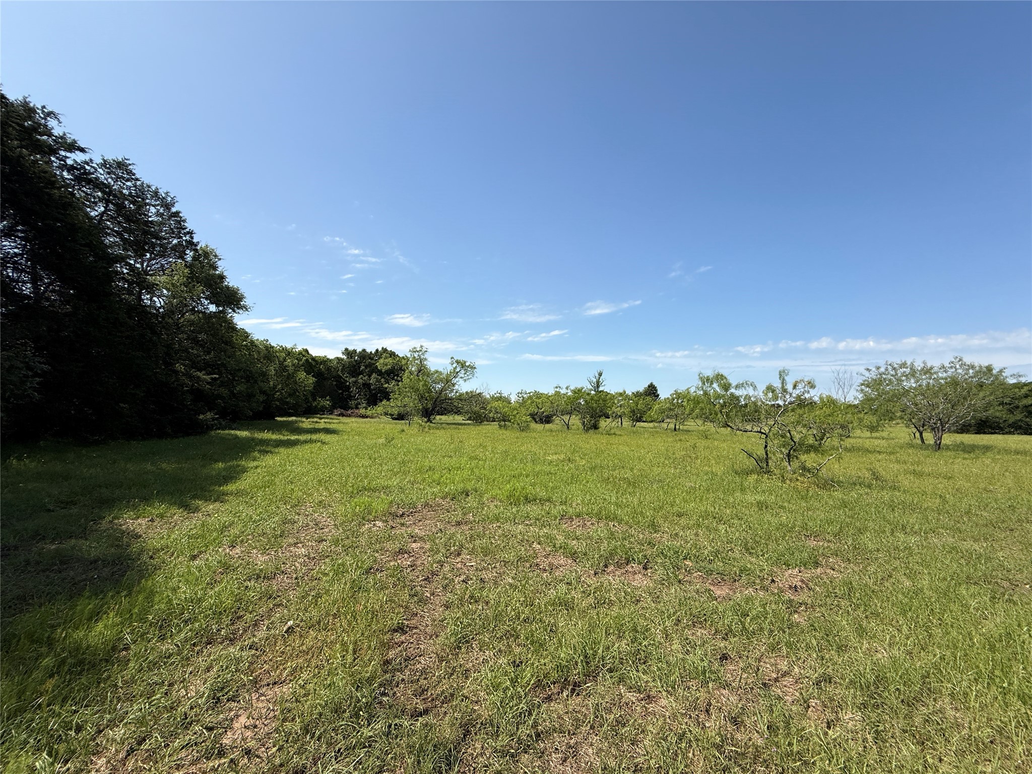 10 Fcr 611 Teague, TX 75860 - Photo 4 of 11