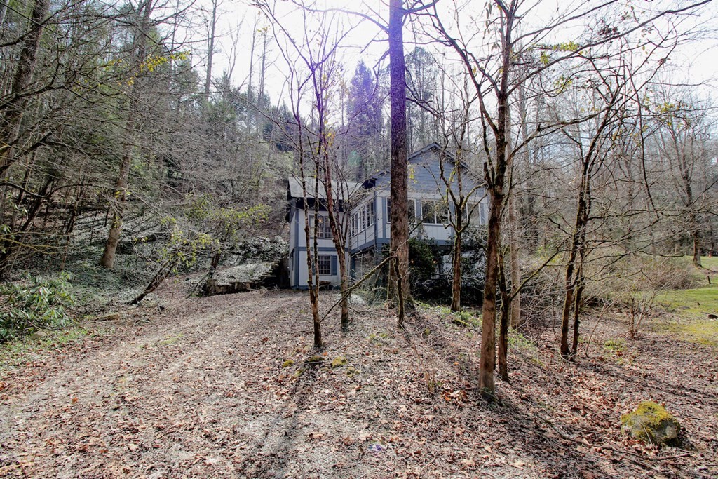 335 Washington Road Gatlinburg, TN 37738 - Photo 4 of 35 Gallery Image 4
