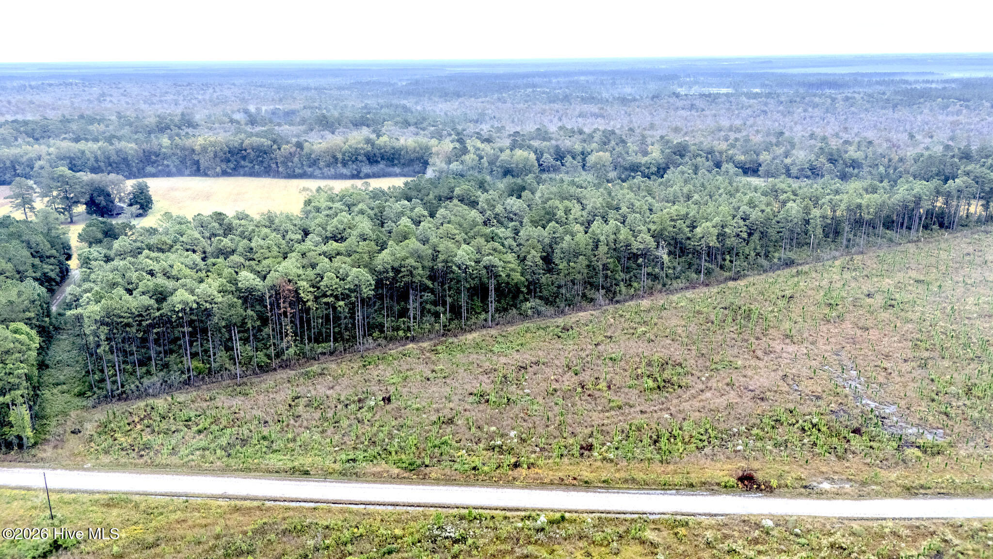 10.57-ac Egypt Road Northwest Ash, NC 28420 - Photo 13 of 21 Egypt Road Northwest, Brunswick County,