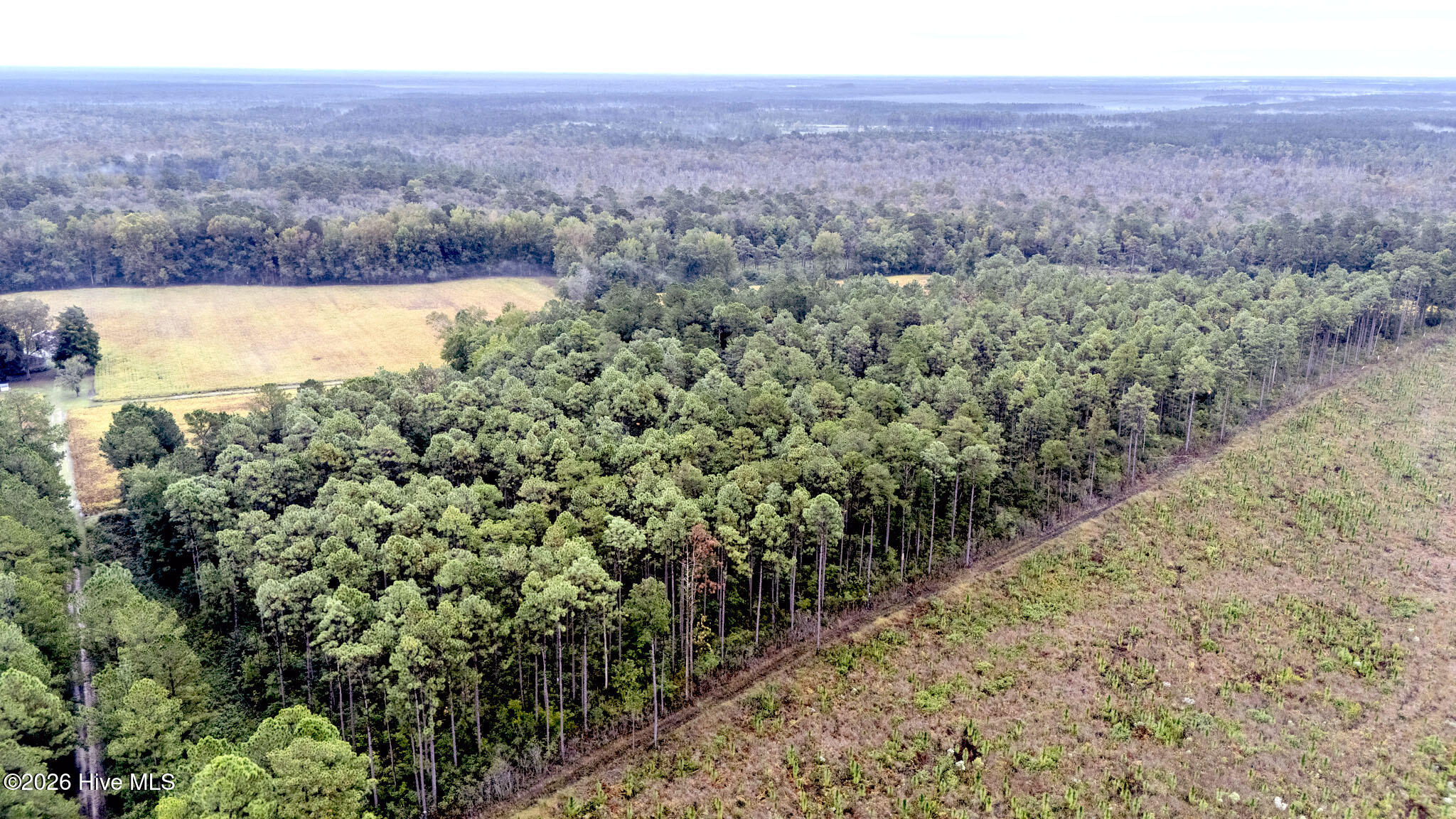 10.57-ac Egypt Road Northwest Ash, NC 28420 - Photo 14 of 21 Egypt Road Northwest, Brunswick County,
