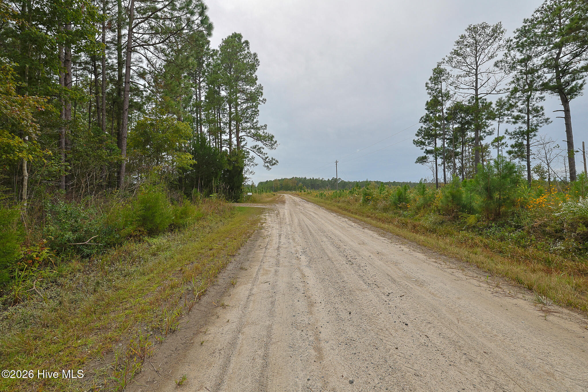 10.57-ac Egypt Road Northwest Ash, NC 28420 - Photo 16 of 21 Egypt Road, Brunswick County, NC-21