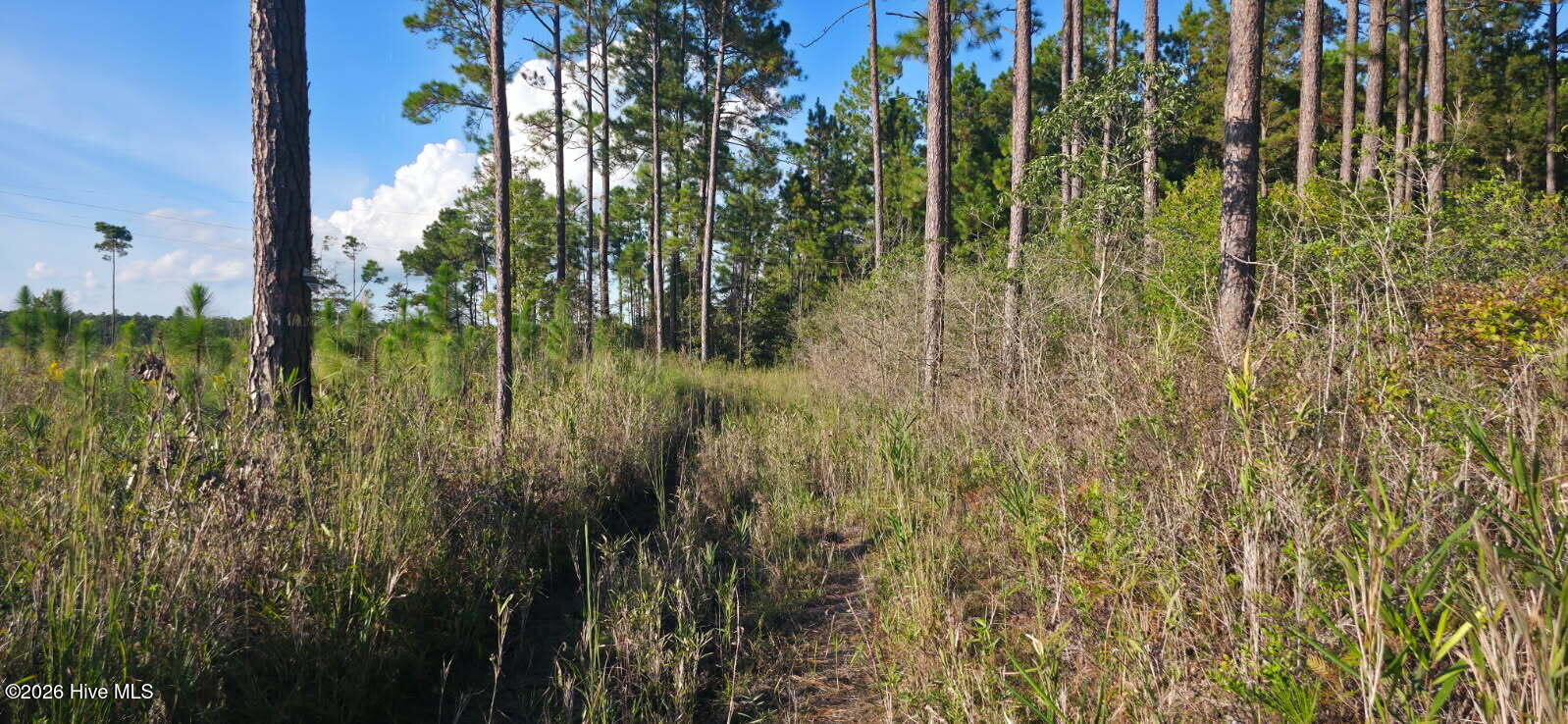 10.57-ac Egypt Road Northwest Ash, NC 28420 - Photo 20 of 21 image000000(2)