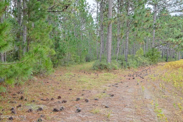$102,000 | 10.57-ac Egypt Road Northwest, Ash, NC 28420