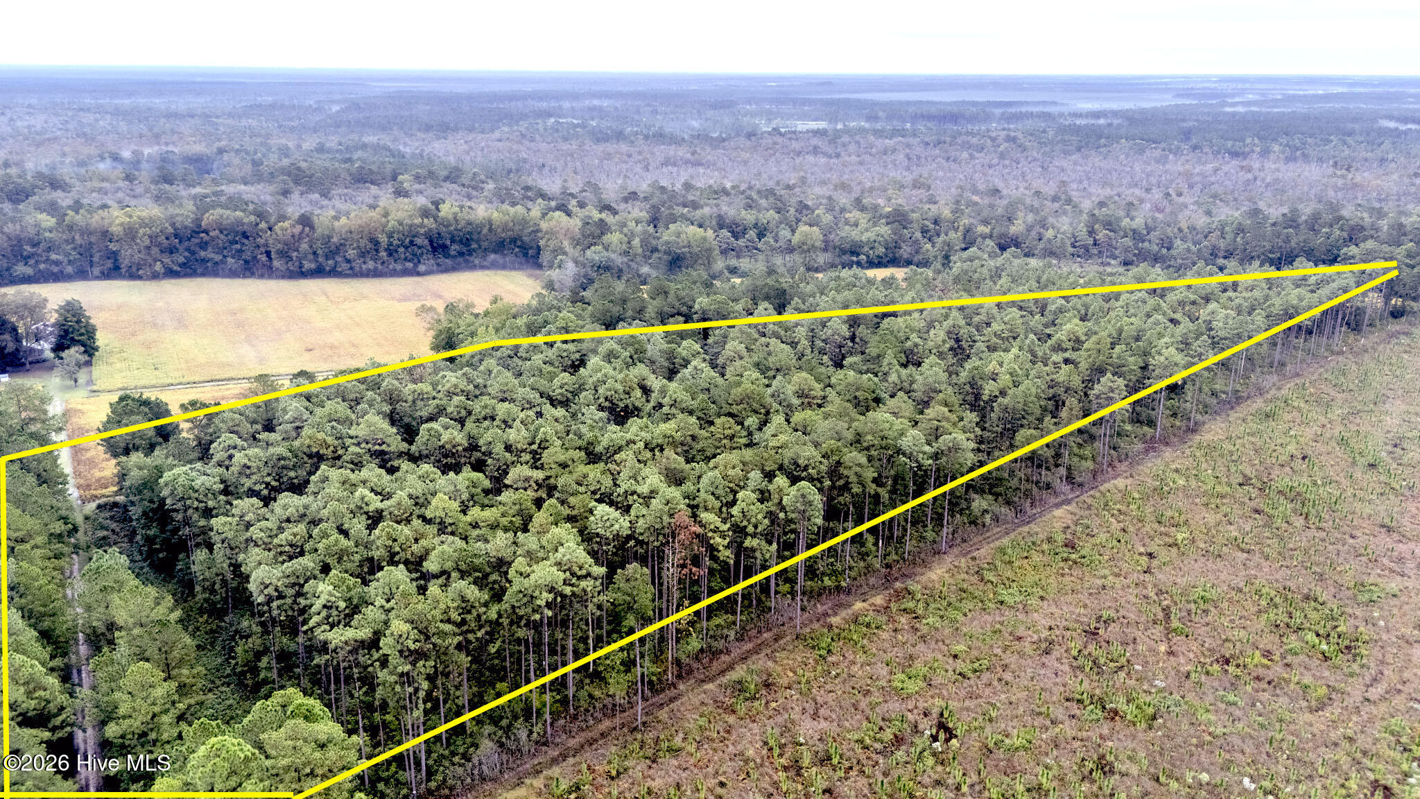 10.57-ac Egypt Road Northwest Ash, NC 28420 - Photo 6 of 21 Appx Property Lines 2