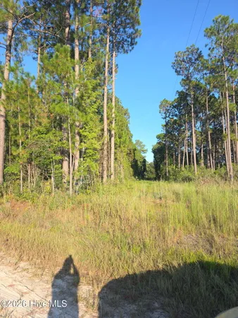$102,000 | 10.57-ac Egypt Road Northwest, Ash, NC 28420
