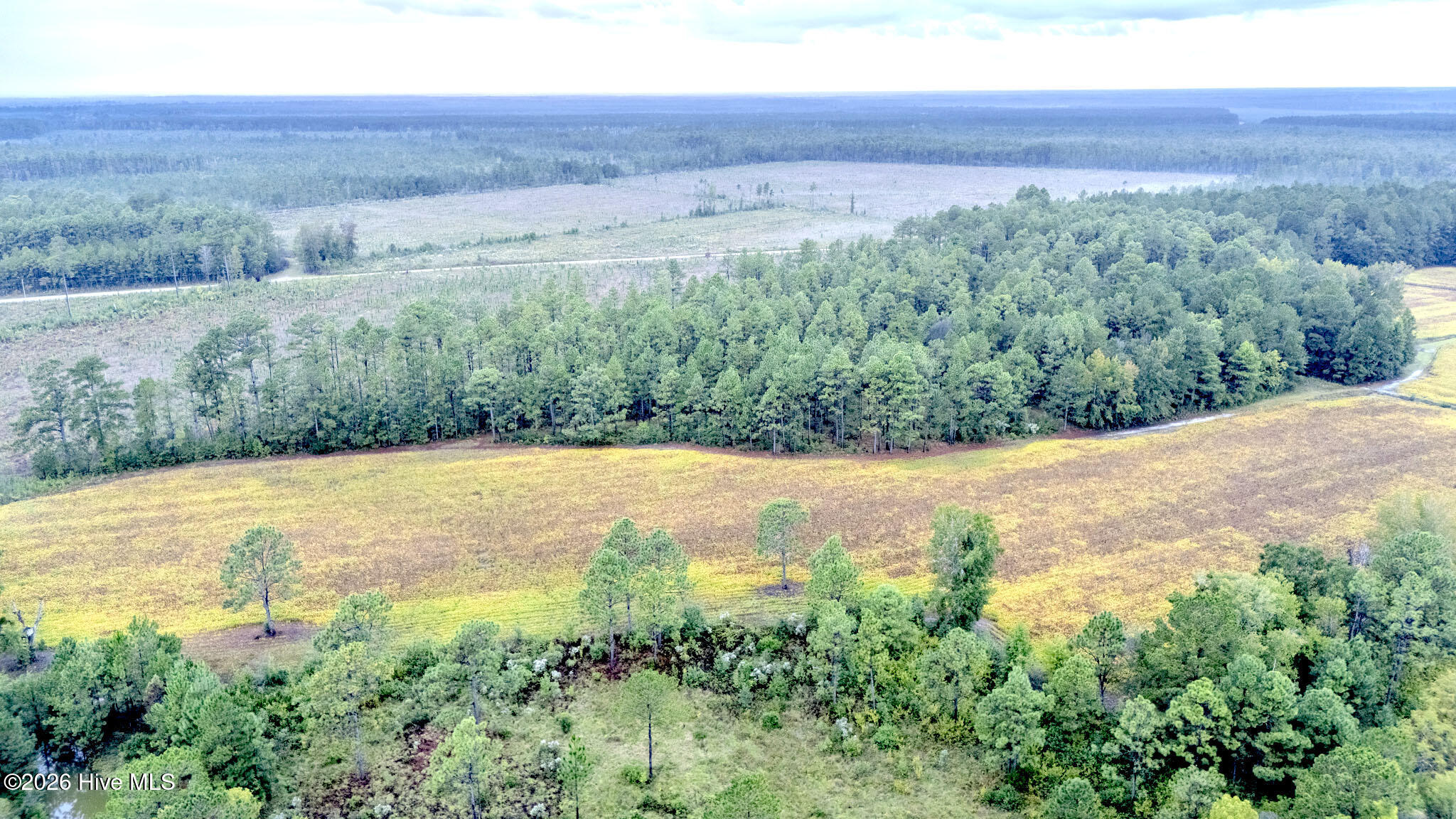 10.57-ac Egypt Road Northwest Ash, NC 28420 - Photo 8 of 21 Egypt Road Northwest, Brunswick County,
