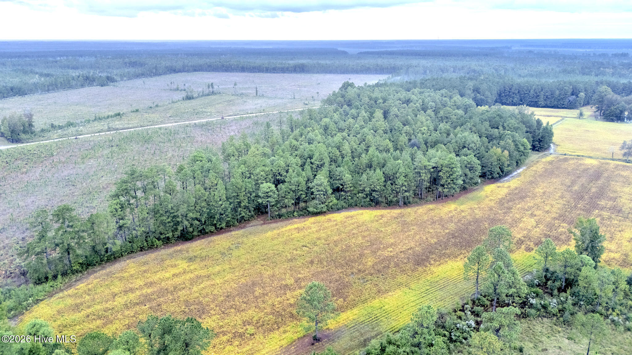 10.57-ac Egypt Road Northwest Ash, NC 28420 - Photo 9 of 21 Egypt Road Northwest, Brunswick County,