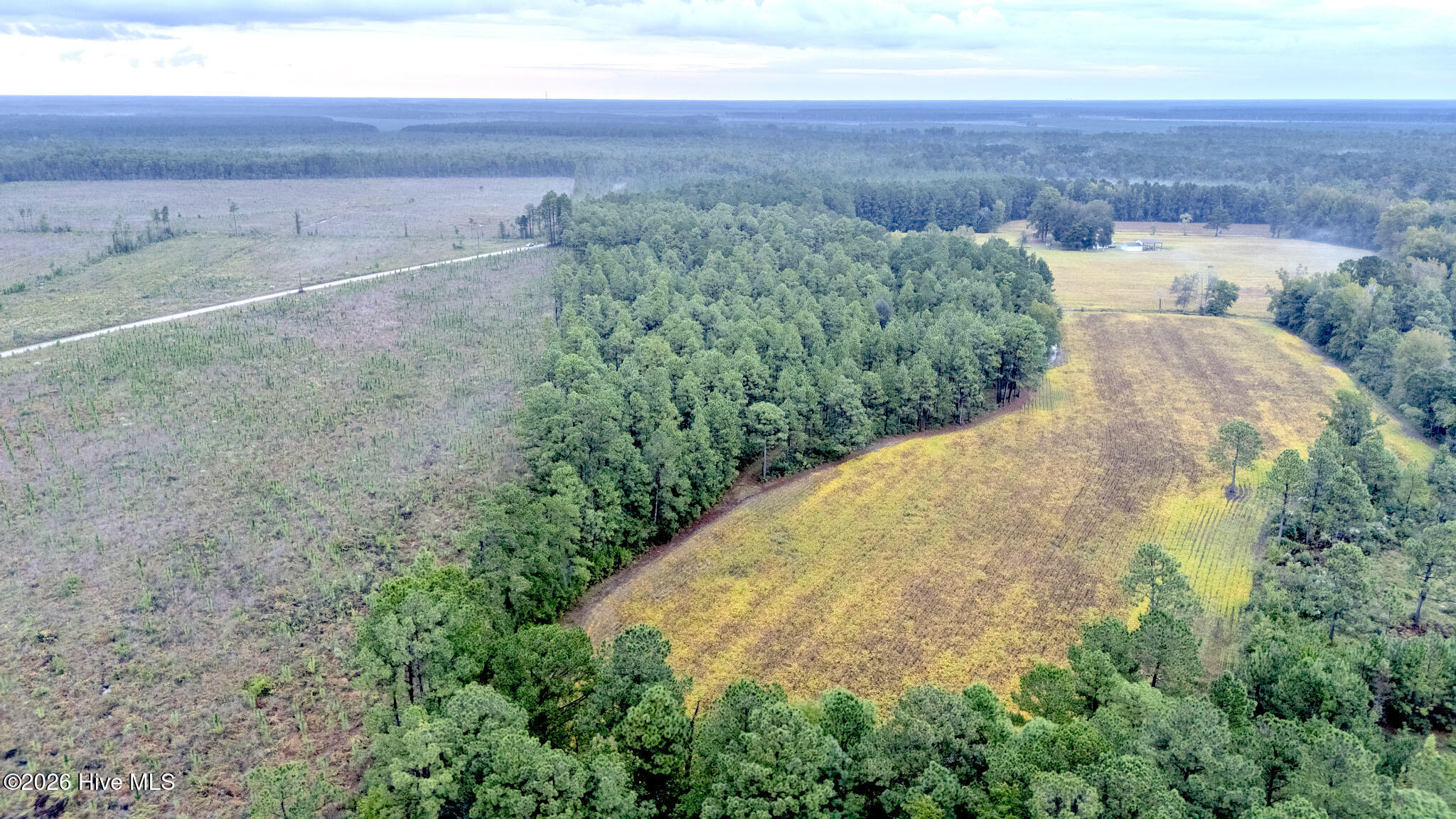 10.57-ac Egypt Road Northwest Ash, NC 28420 - Photo 10 of 21 Egypt Road Northwest, Brunswick County,
