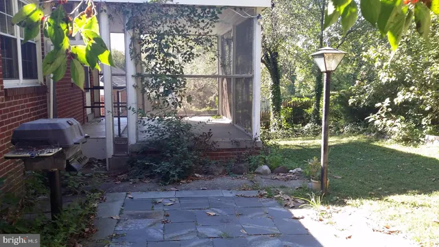 a view of a garden with a pathway