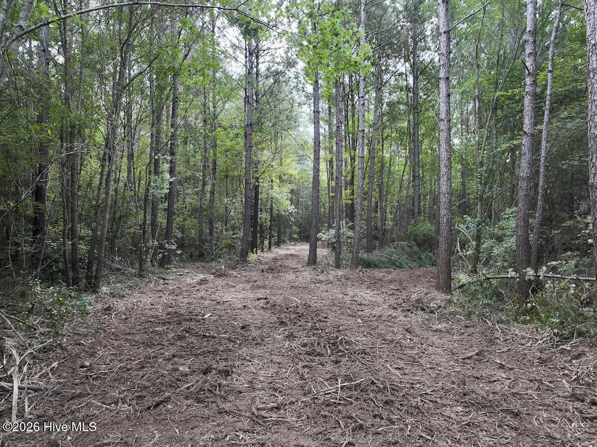 0 Cupelo Road Farmville, NC 27828 - Photo 5 of 18 Gallery Image 5