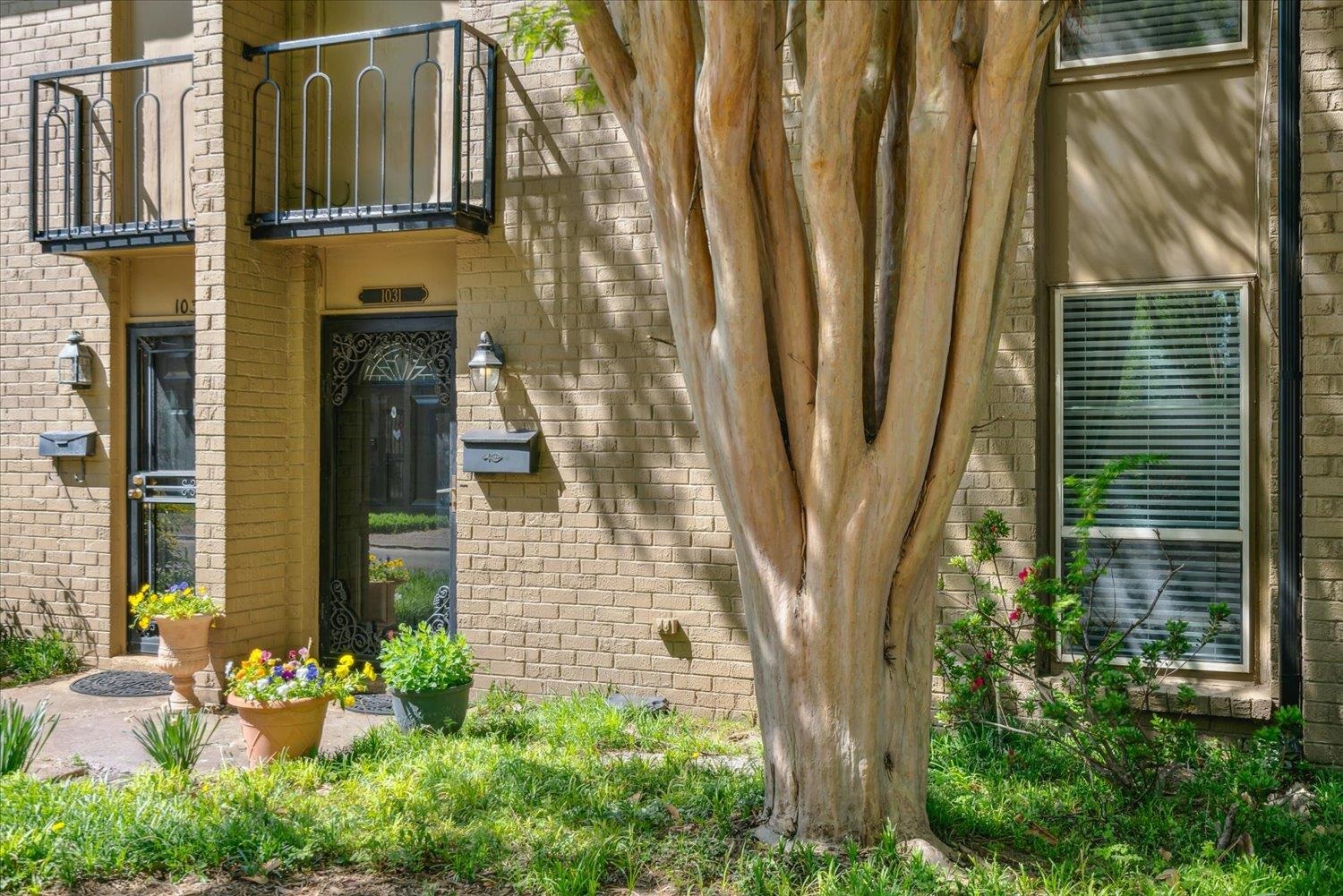 1031 June Road Memphis, TN 38119 - Photo 4 of 17 Gallery Image 4