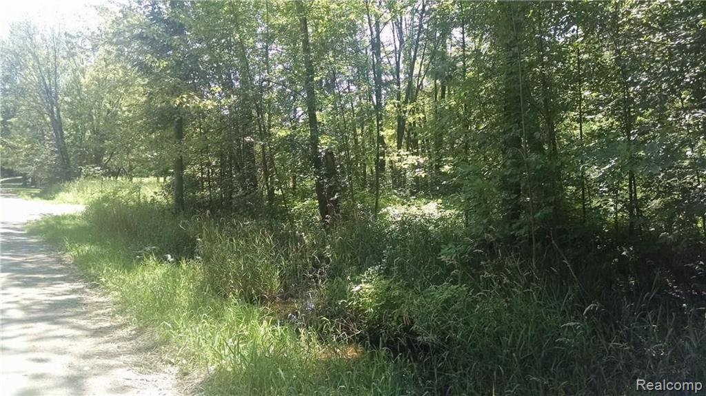 0 Coon Lake Road Fowlerville, MI 48836 - Photo 2 of 7