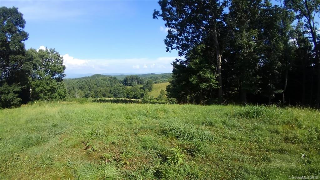 414 Piney Grove Road Marshall, NC 28753 - Photo 2 of 24 Gallery Image 2
