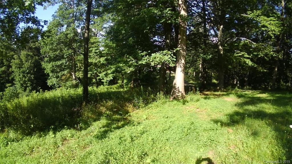 414 Piney Grove Road Marshall, NC 28753 - Photo 15 of 24 Gallery Image 15